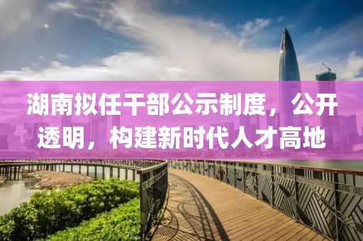 湖南拟任干部公示制度，公开透明，构建新时代人才高地