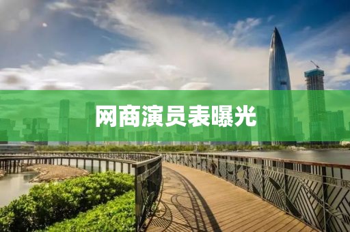 网商演员表曝光