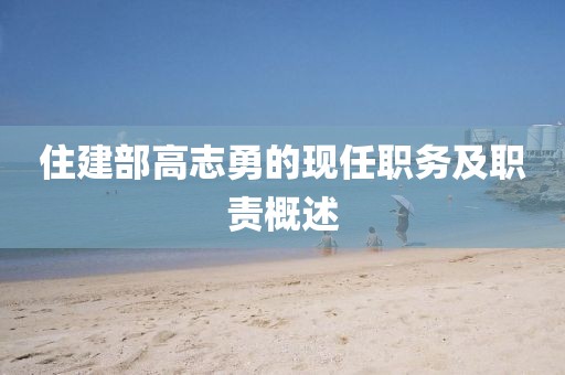 住建部高志勇的现任职务及职责概述