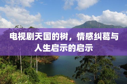电视剧天国的树，情感纠葛与人生启示的启示