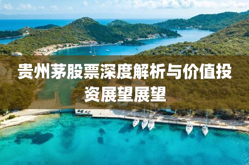 贵州茅股票深度解析与价值投资展望展望