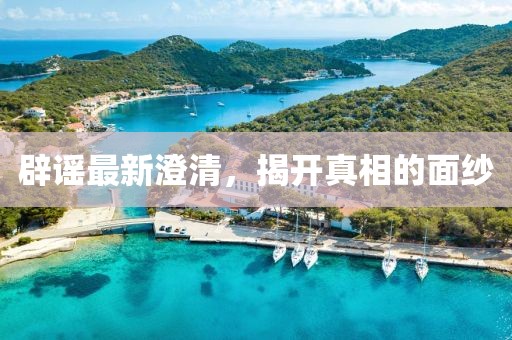 辟谣最新澄清，揭开真相的面纱