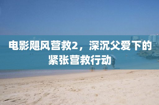 电影飓风营救2，深沉父爱下的紧张营救行动