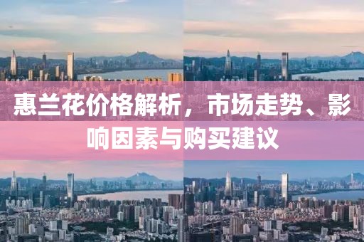 惠兰花价格解析，市场走势、影响因素与购买建议
