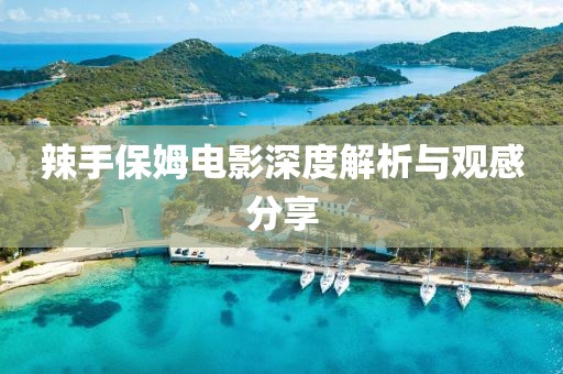 辣手保姆电影深度解析与观感分享