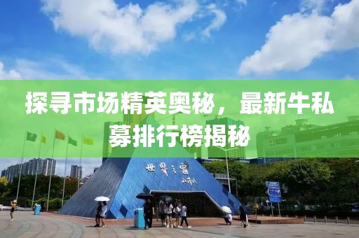 探寻市场精英奥秘，最新牛私募排行榜揭秘