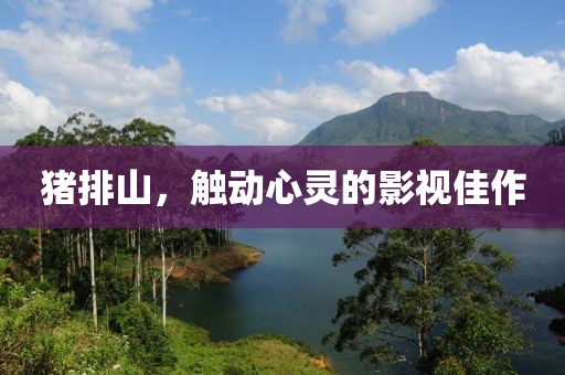 猪排山，触动心灵的影视佳作
