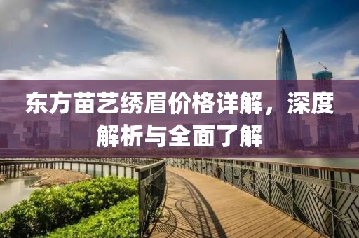 东方苗艺绣眉价格详解，深度解析与全面了解