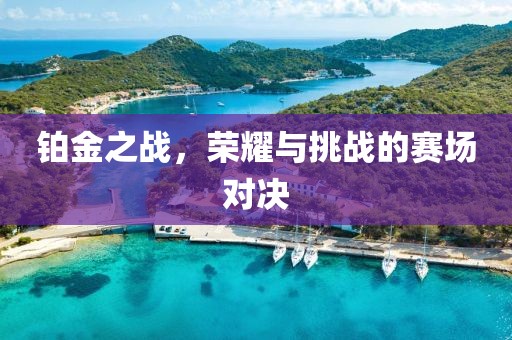 铂金之战，荣耀与挑战的赛场对决