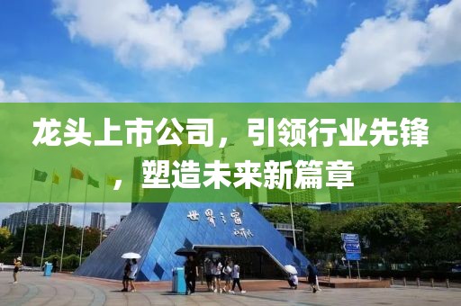 龙头上市公司，引领行业先锋，塑造未来新篇章
