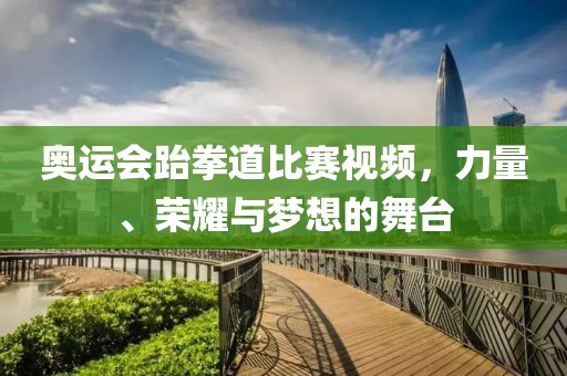 奥运会跆拳道比赛视频，力量、荣耀与梦想的舞台