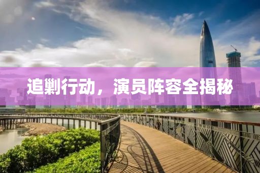 追剿行动，演员阵容全揭秘