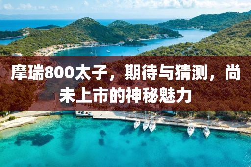 摩瑞800太子，期待与猜测，尚未上市的神秘魅力
