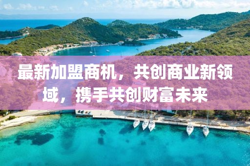 最新加盟商机，共创商业新领域，携手共创财富未来