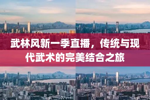 武林风新一季直播，传统与现代武术的完美结合之旅