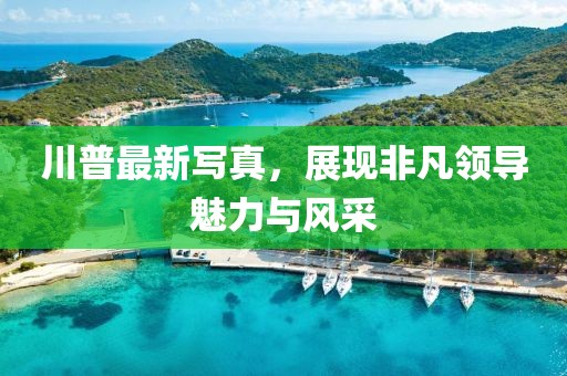 川普最新写真，展现非凡领导魅力与风采