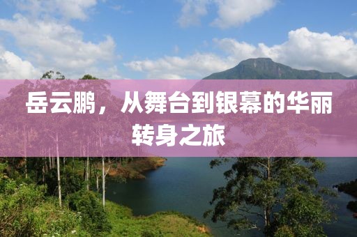 岳云鹏，从舞台到银幕的华丽转身之旅