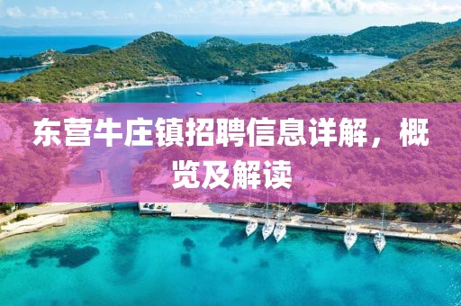 东营牛庄镇招聘信息详解，概览及解读