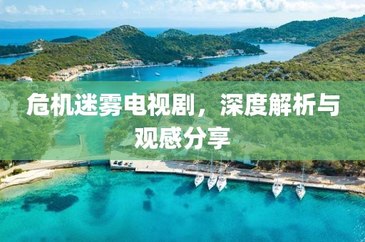 危机迷雾电视剧，深度解析与观感分享