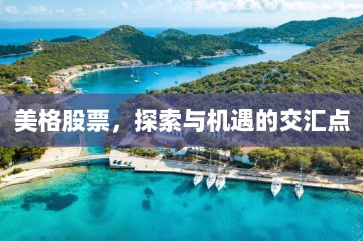 美格股票，探索与机遇的交汇点