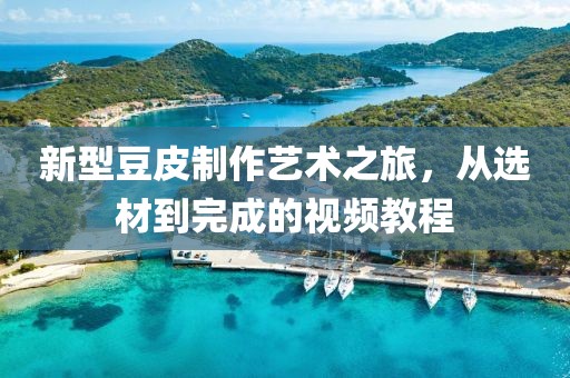新型豆皮制作艺术之旅，从选材到完成的视频教程