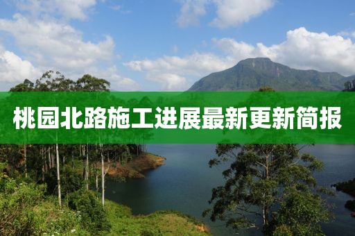 桃园北路施工进展最新更新简报