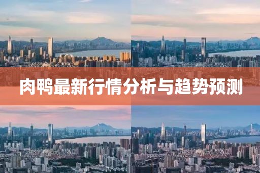 肉鸭最新行情分析与趋势预测