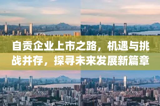 自贡企业上市之路，机遇与挑战并存，探寻未来发展新篇章