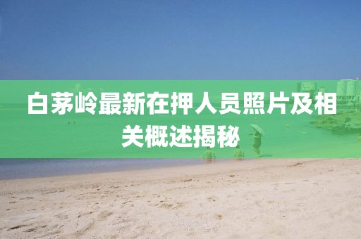 白茅岭最新在押人员照片及相关概述揭秘
