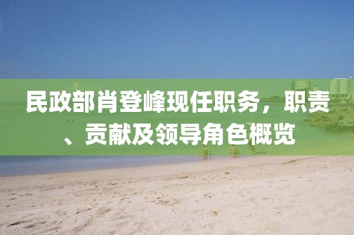 民政部肖登峰现任职务，职责、贡献及领导角色概览