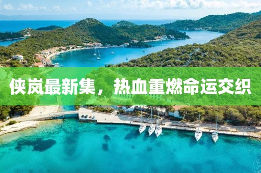 侠岚最新集，热血重燃命运交织