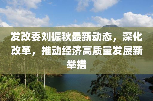 发改委刘振秋最新动态，深化改革，推动经济高质量发展新举措