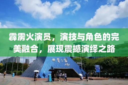 霹雳火演员，演技与角色的完美融合，展现震撼演绎之路