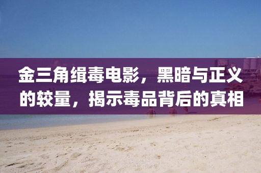 金三角缉毒电影，黑暗与正义的较量，揭示毒品背后的真相