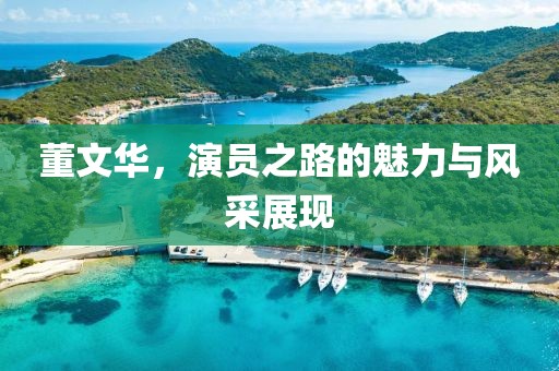董文华，演员之路的魅力与风采展现