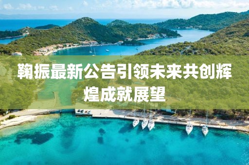 鞠振最新公告引领未来共创辉煌成就展望