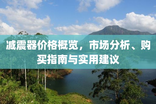 减震器价格概览，市场分析、购买指南与实用建议