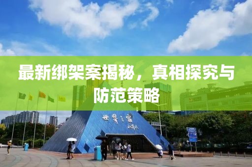 最新绑架案揭秘，真相探究与防范策略