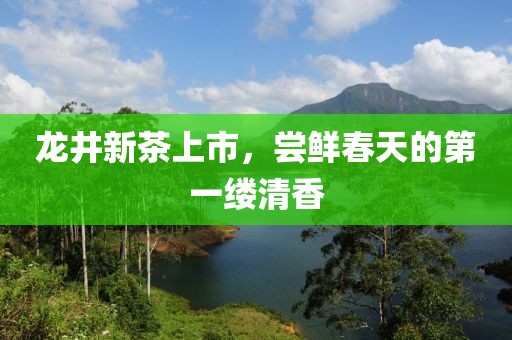 龙井新茶上市，尝鲜春天的第一缕清香