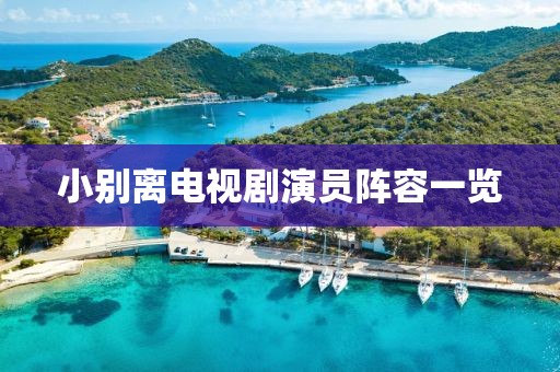 小别离电视剧演员阵容一览