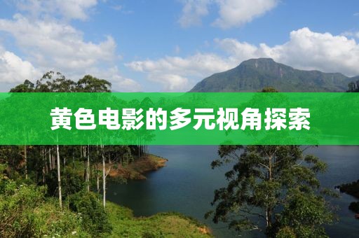黄色电影的多元视角探索