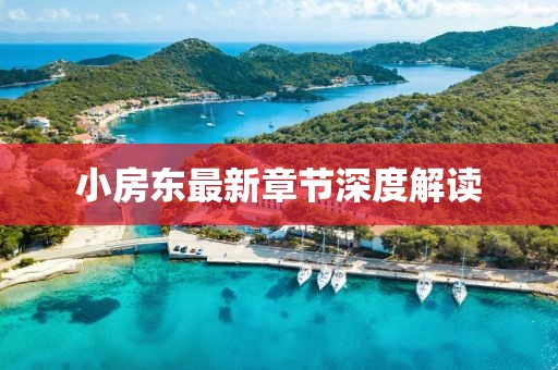 小房东最新章节深度解读