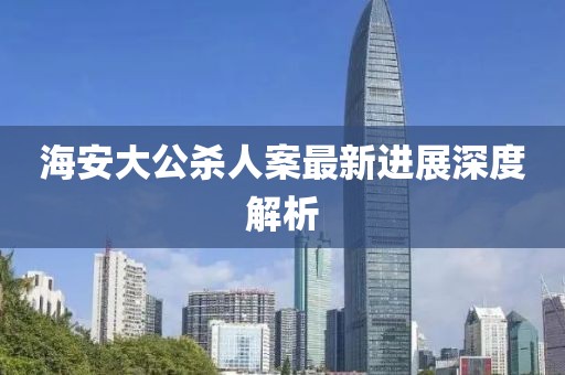 海安大公杀人案最新进展深度解析