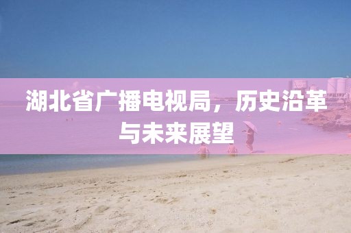 湖北省广播电视局，历史沿革与未来展望