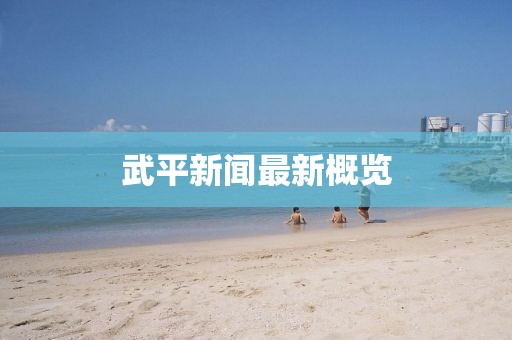 武平新闻最新概览
