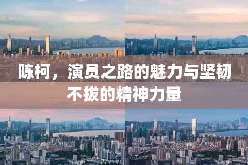 陈柯，演员之路的魅力与坚韧不拔的精神力量