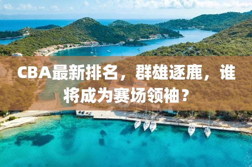 CBA最新排名，群雄逐鹿，谁将成为赛场领袖？
