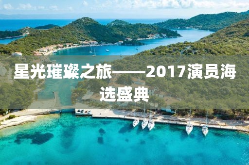 星光璀璨之旅——2017演员海选盛典