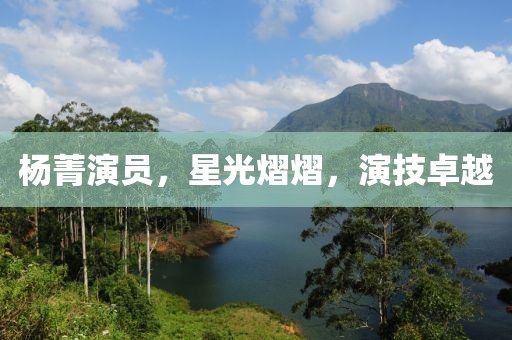 杨菁演员，星光熠熠，演技卓越