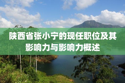 陕西省张小宁的现任职位及其影响力与影响力概述